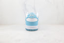 Nike Dunk Low Essential Paisley Pack Worn